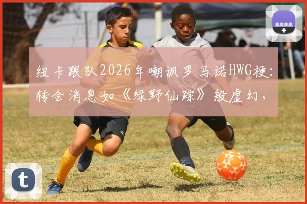 纽卡跟队2026年嘲讽罗马诺HWG梗：转会消息如《绿野仙踪》般虚幻，球迷该如何辨别真伪