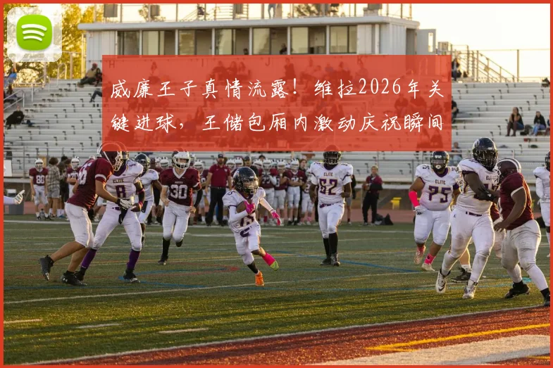 威廉王子真情流露！维拉2026年关键进球，王储包厢内激动庆祝瞬间全记录